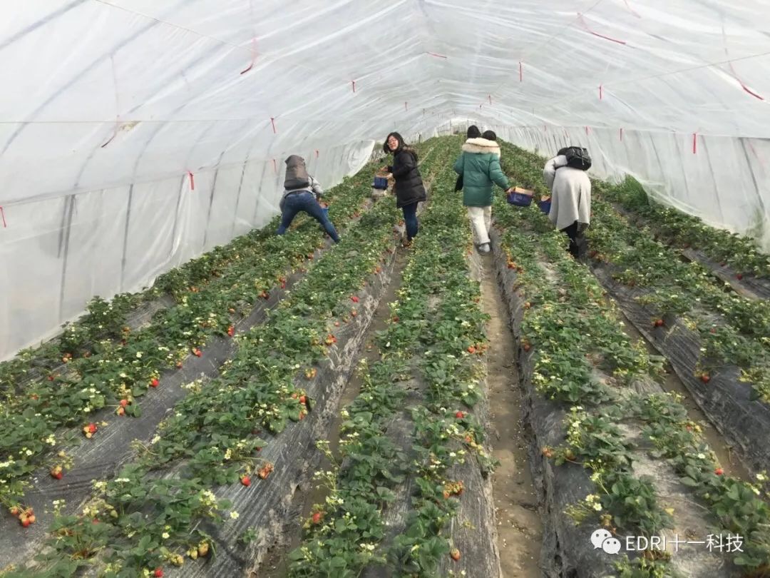 1552284521997375.jpg 4.jpg